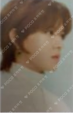 2020 NCT 127 SEASON'S GREETINGS SYNNARA RECORD