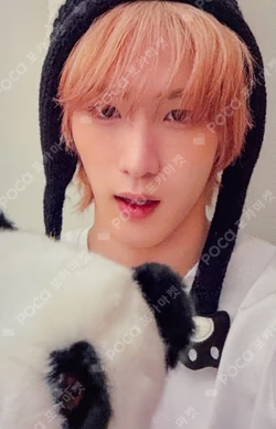 UNIQUE APPLEMUSIC SOUL photocard image
