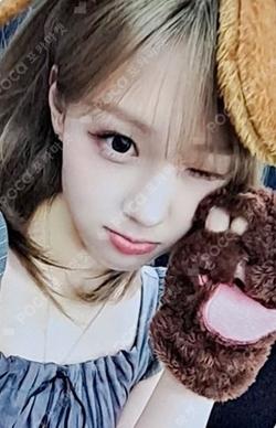 CRACK CODE EVERLINE CHAEHYUN photocard image