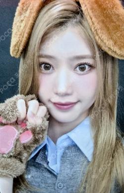 CRACK CODE EVERLINE XIAOTING photocard image