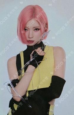 CHOOM TRADING PHOTOCARD ASA photocard image