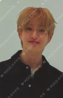 2026 SEASON'S GREETINGS RANDOM TRADING CARD SET B ver. ONEW photocard image