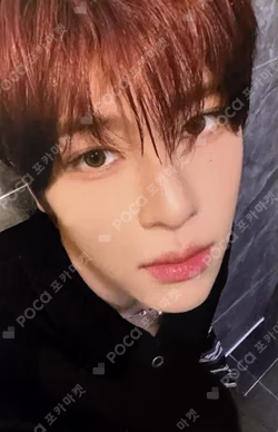 NCT SION photocard image