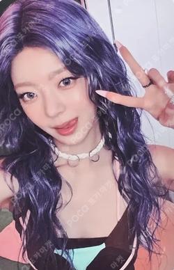 Motto MEMBER Ver.