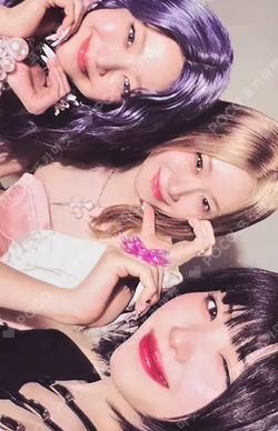 Motto MEMBER Ver.