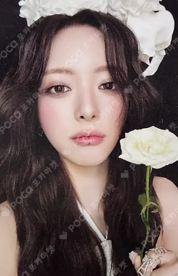 Motto Photobook B Ver.