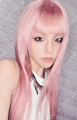 Motto MEMBER Ver.
