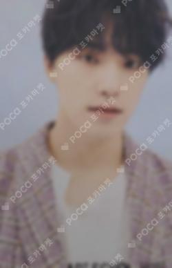 Seventeen DINO photocard image