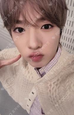 NCT SAKUYA photocard image