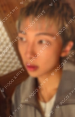 BTS WORLD TOUR 'ARIRANG' IN TAMPA Weverse Pickup (ALBUM)
