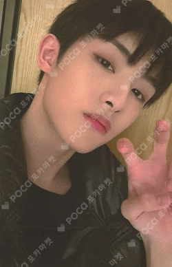 5th Anniversary Doll Prop Set