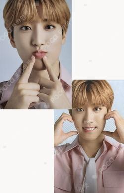 Stray Kids HAN photocard image