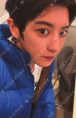 REVERXE XIAOMANG WINNER CHANYEOL photocard image