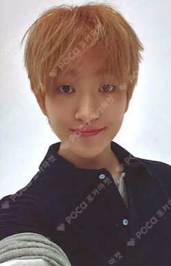 2026 SEASON'S GREETINGS RANDOM TRADING CARD SET B ver. ONEW photocard image