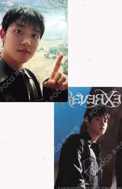 REVERXE QQ MUSIC