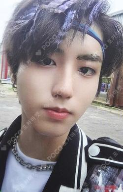 IN生 STANDARD VER. HAN photocard image