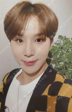NCT JUNGWOO photocard image