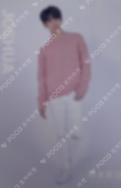 SEVENTEEN 2019 JAPAN TOUR 'HARU' TRADING CARD