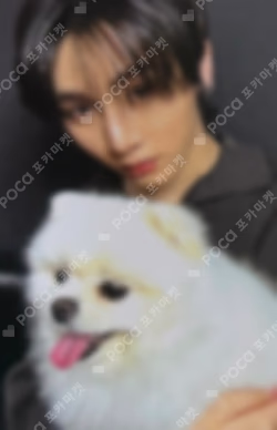 HOME WEVERSE TAESAN photocard image