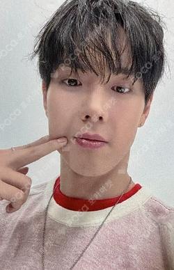 LOVE ME JJMUZE SHOWNU photocard image