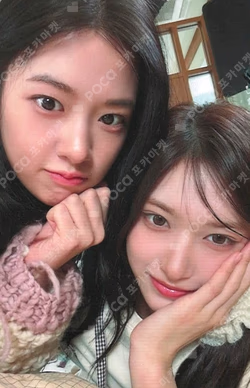 LUCID DREAM STANDARD EDITION Unit photocard image