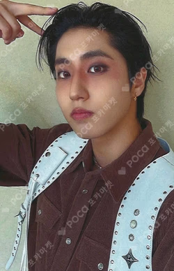 Stray Kids HAN photocard image