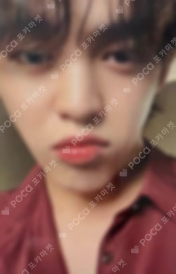 FML CARAT Ver. WEVERSE JAPAN