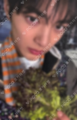 GREENGREEN MUSICART KEONHO photocard image