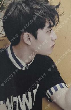 LOVE ME RIGHT POSTCARD SET