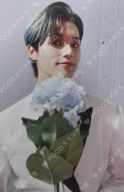 ZERO : FEVER Part.3 WONDERWALL WOOYOUNG photocard image