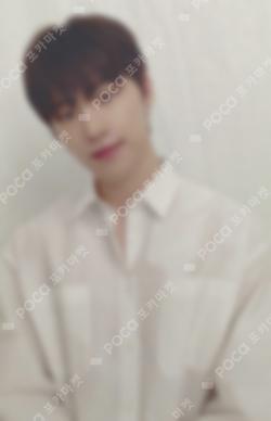 Seventeen DINO photocard image