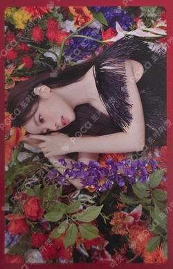 TWICE DAHYUN photocard image