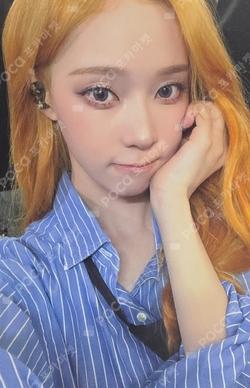 LEMONADE Warner Music Store LUCKY DRAW WINTER photocard image