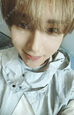 2025 SEASON'S GREETINGS PHOTO PACK