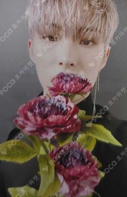 ZERO : FEVER Part.3 WONDERWALL MINGI photocard image