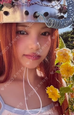 Lemon Tang KTOWN4U