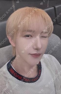 SWEET Dreamiez POP-UP SMALL SITTING PLUSH RENJUN photocard image