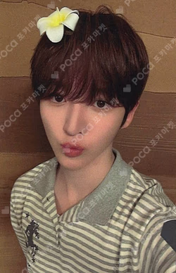 KickFlip Donghyeon photocard image
