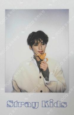 Stray Kids LEE KNOW photocard image