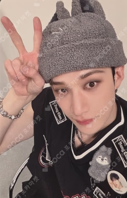 Stray Kids World Tour dominATE JAPAN LIVE Blu-ray TOWER RECORDS BANG CHAN トレカ