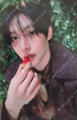 Arena HOMME+