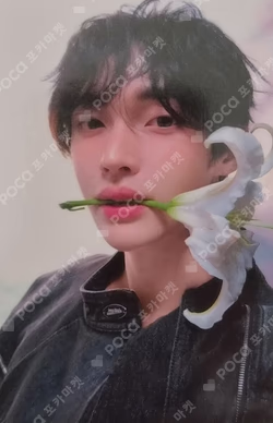 Arena HOMME+