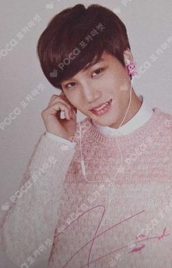 Baskin Robbins KAI photocard image