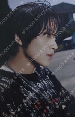 ISTJ YPBOOKS HAECHAN photocard image