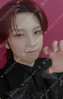 DEFINITION EVERLINE KYRELL photocard image