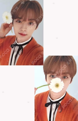Nacific LEE KNOW photocard image