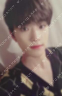 Seventeen DINO photocard image