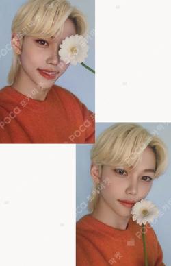Nacific FELIX photocard image