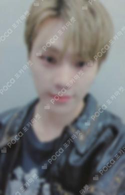 Seventeen DINO photocard image