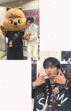 Stray Kids World Tour dominATE JAPAN LIVE Blu-ray RAKUTEN